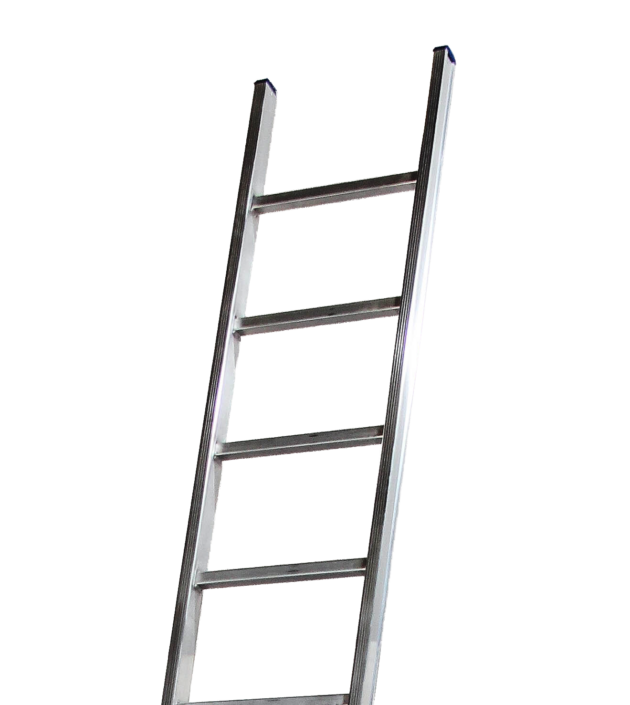Single leaning rung ladder