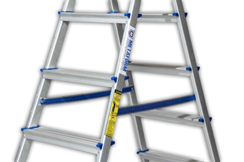Double step ladder