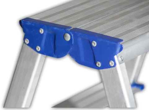 Double step ladder