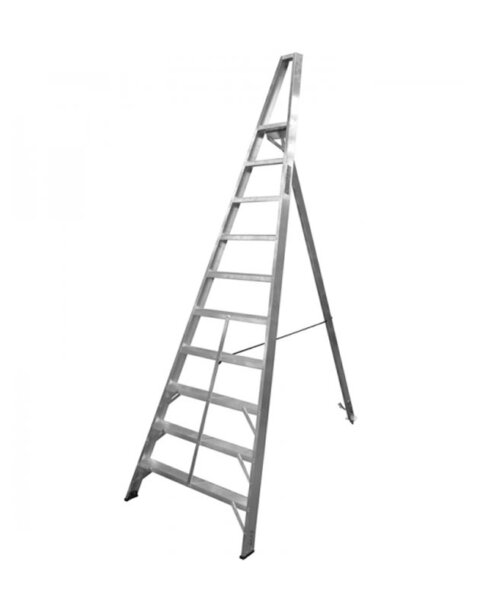 Professional Garden Ladder