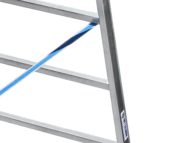 Double side standing rung ladder