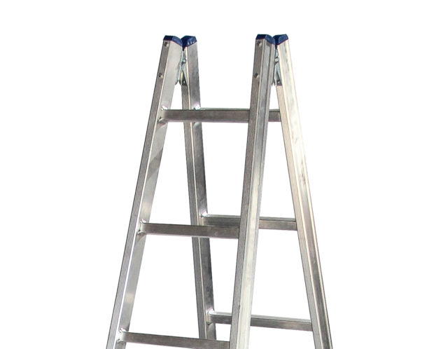 Double side standing rung ladder