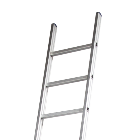 Single rung ladder