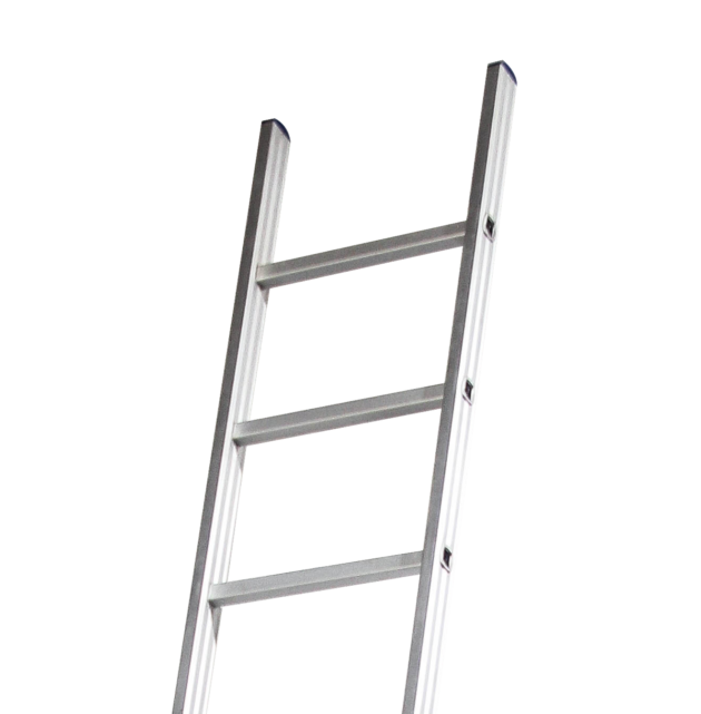 Single rung ladder
