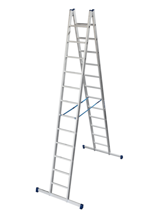 Double rung ladder